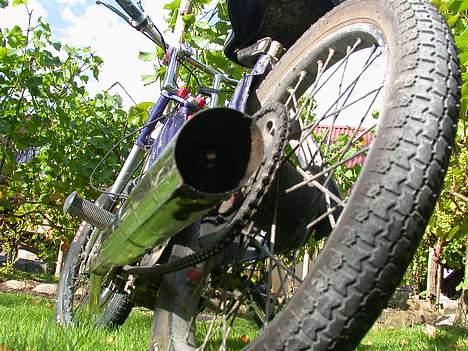 Puch Maxi TIL SALG !!!! Gi bud billede 12