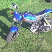 Suzuki Street magic -=SOLGT=-