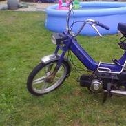 Puch maxi k