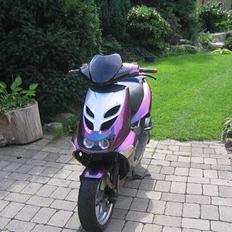 Aprilia Ditech - Kamælion SOLGT