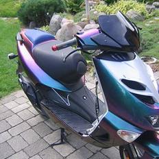 Aprilia Ditech - Kamælion SOLGT