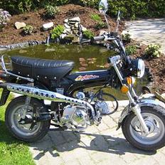 Honda dax (kopi) Byttet til jog