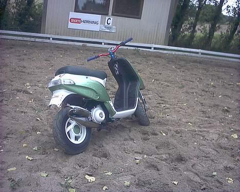 Piaggio Typhoon ¤Solgt¤ - skråt bagfra, dejligt billede. billede 19