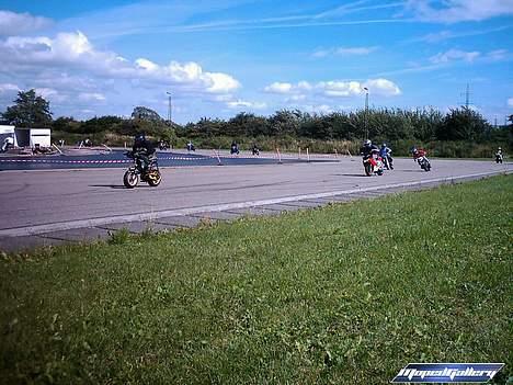 PGO Raceren (Byttet) - Først i fældtet billede 12