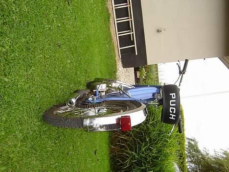 Puch Maxi solgt billede 6