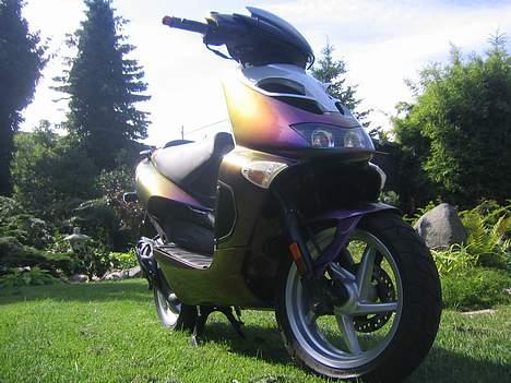 Aprilia Ditech - Kamælion SOLGT - NIce billede haha.. billede 15