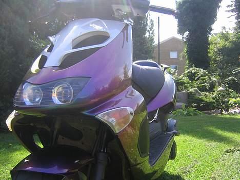 Aprilia Ditech - Kamælion SOLGT billede 16