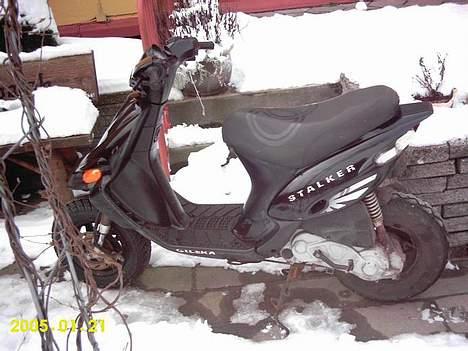 Gilera Stalker (EVO LC) solgt - før den bliv vild :) billede 10