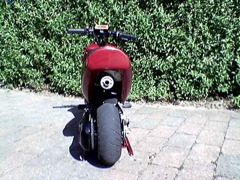 Polini Scooterino billede 20