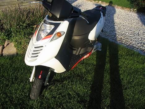 Aprilia Sonic Gp Sbk "Solgt" - Fronten billede 1