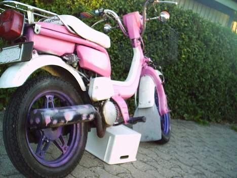 Suzuki FZ50 (Solgt) billede 3