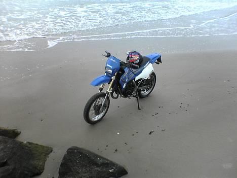 Suzuki smx  LC  SOLGT :(:(:(:( - Nice billede oppe i hvors sommerhus ved Vesterhavet billede 7