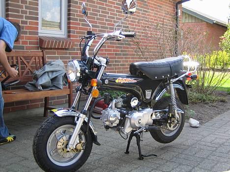 Honda dax (kopi) Byttet til jog - Her er den lig kommet hjem fra forandleren....HEL NY... billede 1