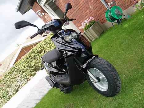 PGO Hot 50 - 1 dag gammel billede 9