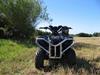 PGO X-rider 110