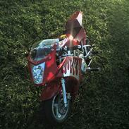 MiniBike pocket bike