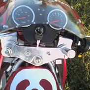 MiniBike pocket bike