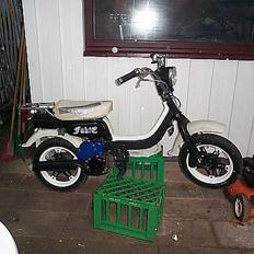 Suzuki FZ 50 #Louise# (Solgt)