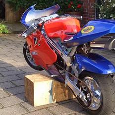 MiniBike Racing repsol