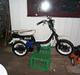 Suzuki FZ 50 #Louise# (Solgt)