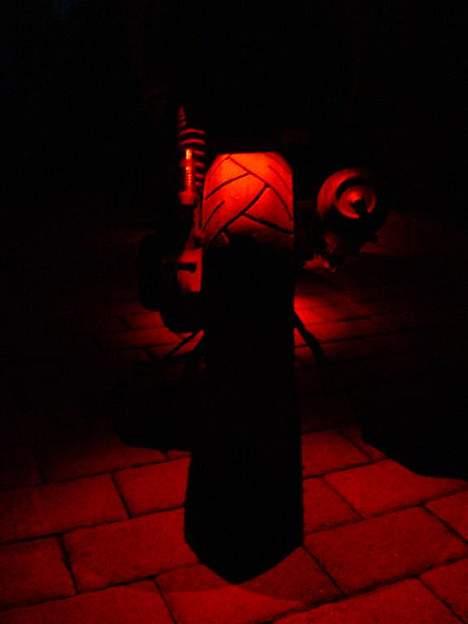 Peugeot Speedfight 206 WRC billede 13