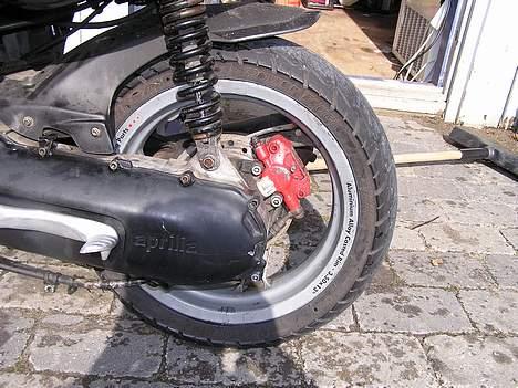 Aprilia Rally billede 6