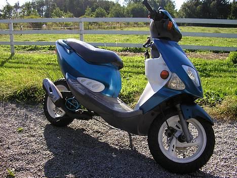 PGO Dr. Big (BAD ICE) billede 2