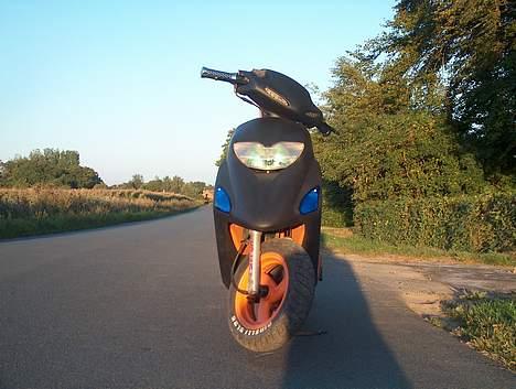 Honda Sfx  slogt billede 3