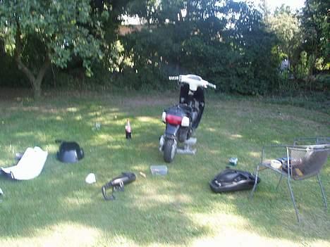 Piaggio zip Solgt - Skilt ad fordi den skulle males:p billede 2