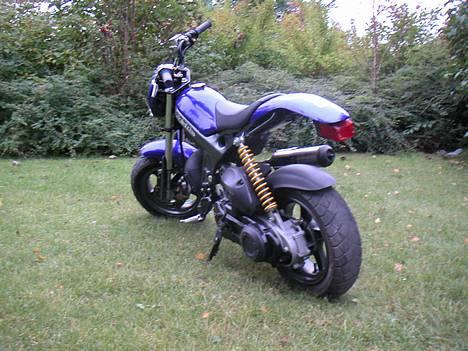 Suzuki Street magic(byttet) billede 6