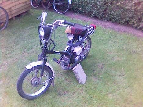 Honda honda express billede 1