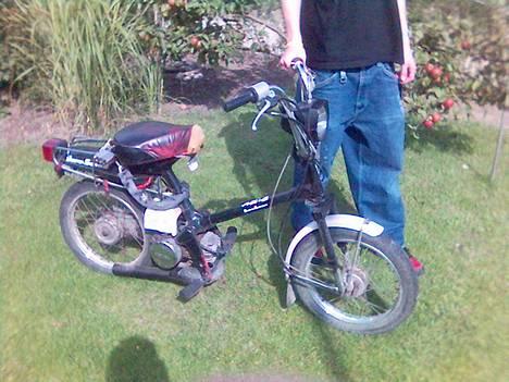 Honda honda express billede 2