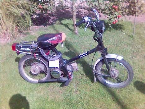 Honda honda express billede 7