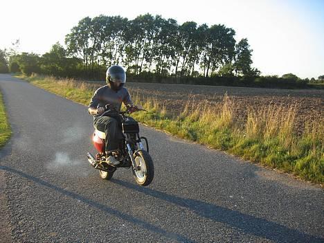 Aprilia Sonic Stjålet - ja der skal ikke meget til før at det letter og flyver hen ad asfalten! billede 8