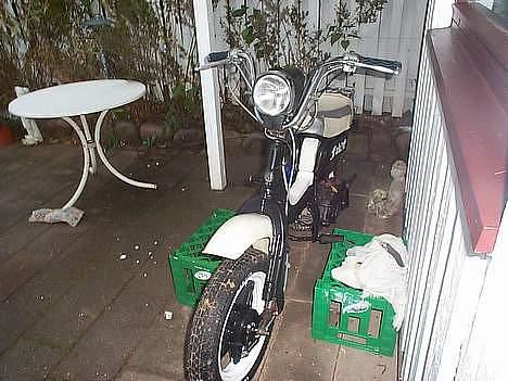 Suzuki FZ 50 #Louise# (Solgt) - den minder lidt om en harley. hehe billede 6