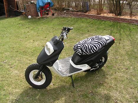 PGO hot 50 -=solgt=- billede 4