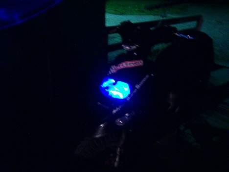 Gilera Stalker Racing - Blå lys i forlygten billede 4