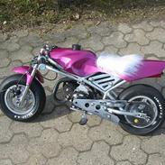 MiniBike Daytona 