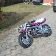 MiniBike Daytona 