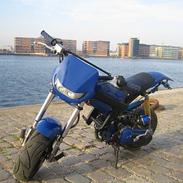 Suzuki street magic