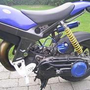 Suzuki Street Magic [SOLGT]