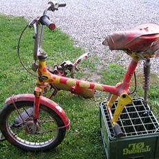 Honda Express (SOLGT)