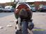 Aprilia Sonic