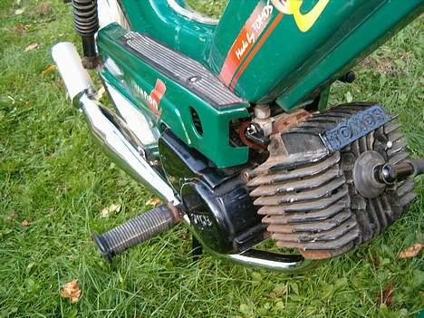 Tomos Quadro billede 11