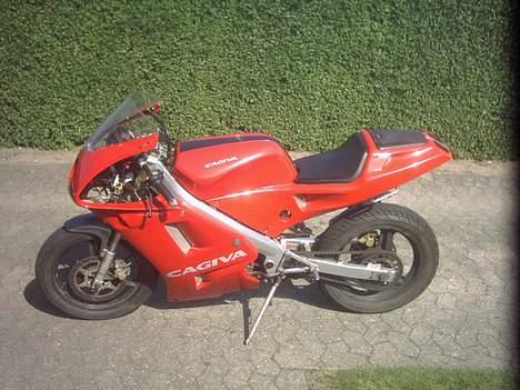 Cagiva Mito "Ducati'en" billede 13