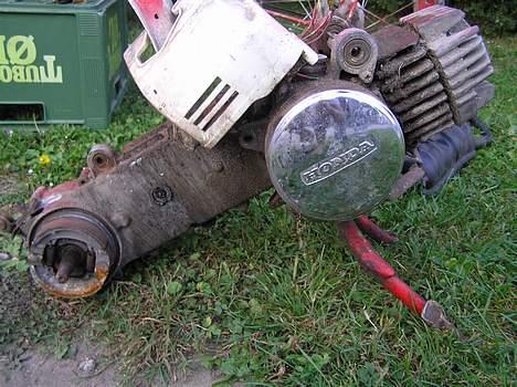 Honda Express (SOLGT) - honda express motor højre side billede 5