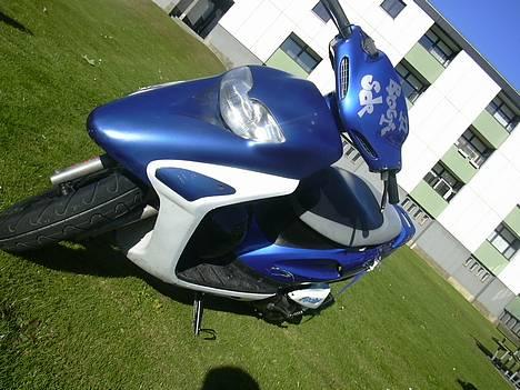 Honda Sfx (Solgt) billede 1