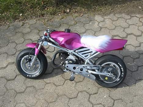 MiniBike Daytona  billede 1