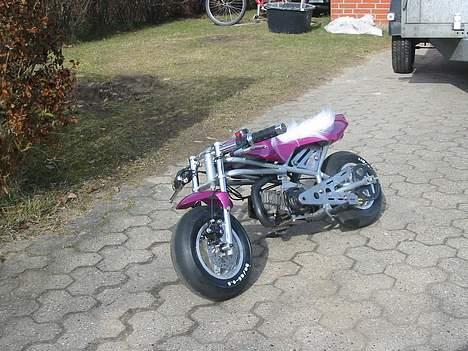 MiniBike Daytona  billede 3