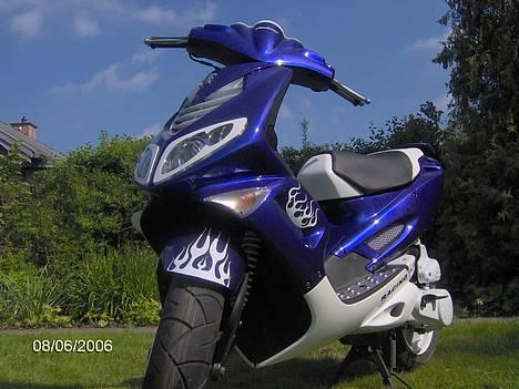 Peugeot Speedfight 2  WRC 206 AC - Projekt stoppet billede 1